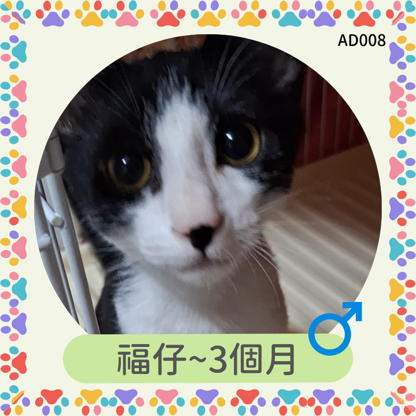 福仔